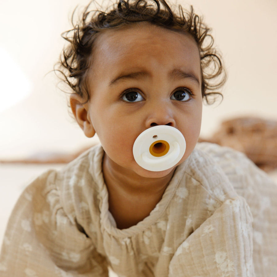 Modern Pacifier (Coconut Milk) NEW